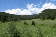 Denver Rockies Hiking Tour Half Day thumbnail 5