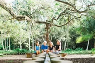 Kauai Allerton Garden Guided Walking Tour 2.5 hr thumbnail 3