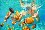 Blue Lagoon Snorkeling Tour thumbnail 4