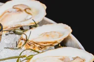 New York City Oyster Shucking Class with Drinks thumbnail 3