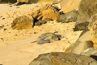 Oahu Circle Guided Tour thumbnail 2