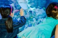 San Antonio SEA LIFE Aquarium and LEGOLAND Discovery Center thumbnail 1