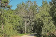 Carmel-by-the-Sea Self-Guided Audio Tour thumbnail 4