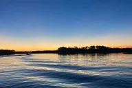 Orange Beach Dolphin and Nature Sunset Cruise thumbnail 3