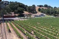 Santa Ynez Wine Tour with Picnic Lunch thumbnail 6