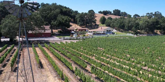 Santa Ynez Wine Tour with Picnic Lunch - Image 6