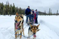 Willow Dog Sledding Adventure thumbnail 3
