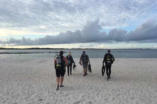 Florida Scuba Diving Experience - Image 3