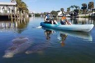 Cocoa Beach Mangrove Tunnel Kayak Tour thumbnail 6