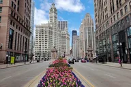 Chicago City Minibus Tour thumbnail 1