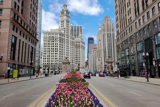 Chicago City Minibus Tour