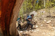 Kings Canyon Private Tour and Hike thumbnail 1