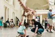 Chicago Explorer Pass: Attractions & Tours thumbnail 5