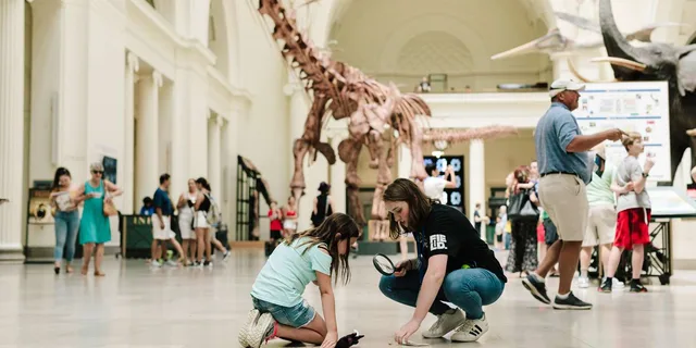 Chicago Explorer Pass: Attractions & Tours - Image 5