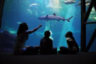 Maui Ocean Center Admission Ticket thumbnail 2