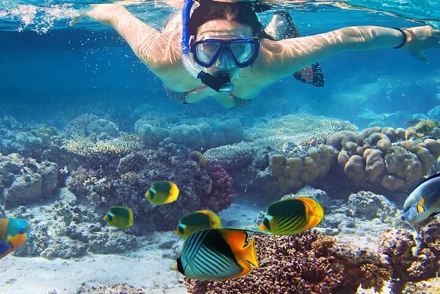 Waikiki Sail and Snorkel Adventure - Image 3