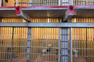 San Francisco Alcatraz Island and Bay Cruise thumbnail 3