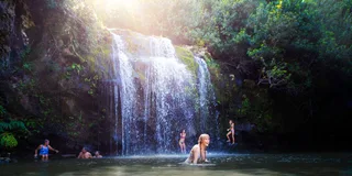 Kohala Waterfalls Adventure Tour