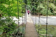 Seattle Mount Rainier National Park Private Day Tour thumbnail 3