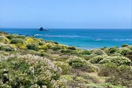 California Central Coast Private Tour thumbnail 4