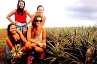 Oahu Island Tour with Cultural Ambassadors thumbnail 2