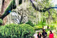 New Orleans City and Cemetery Tour with Garden District Stroll thumbnail 3
