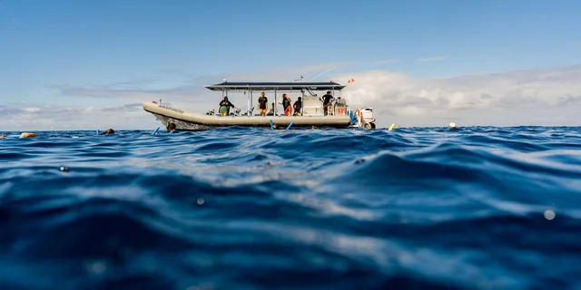 Kailua-Kona Snorkeling Tour with Lunch 4 hr - Image 4