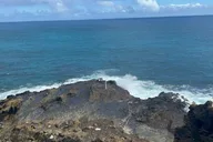 Honolulu Mini Circle Island Tour with Pearl Harbor 4 Days thumbnail 3