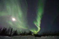 Fairbanks Northern Lights Tour with Photography 4 hr thumbnail 6