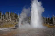 Yellowstone Geyser Basin Tour thumbnail 3