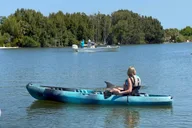 Florida Dolphin and Manatee Kayak Tour at Sunset 2 hr thumbnail 6