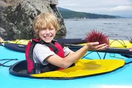 Deception Pass Kayak Tour 90 Min thumbnail 3
