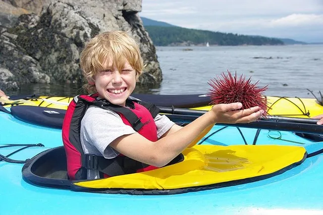 Deception Pass Kayak Tour 90 Min - Image 3