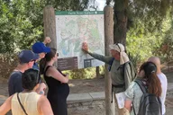 Los Angeles Griffith Park Hike thumbnail 3