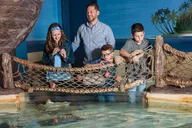 Bloomington Sea Life Minnesota Aquarium Entry thumbnail 6
