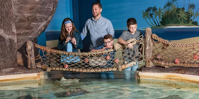 Bloomington Sea Life Minnesota Aquarium Entry - Image 6