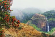 Kauai Waimea Canyon and Kokeʻe State Park Private Tour thumbnail 4