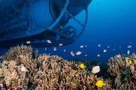 Kona Underwater Submarine Adventure thumbnail 5