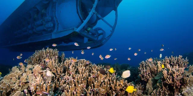 Kona Underwater Submarine Adventure - Image 5