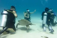 Honolulu Open Water Scuba Certification thumbnail 2