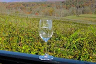 Atlanta Wine Country Tour thumbnail 6