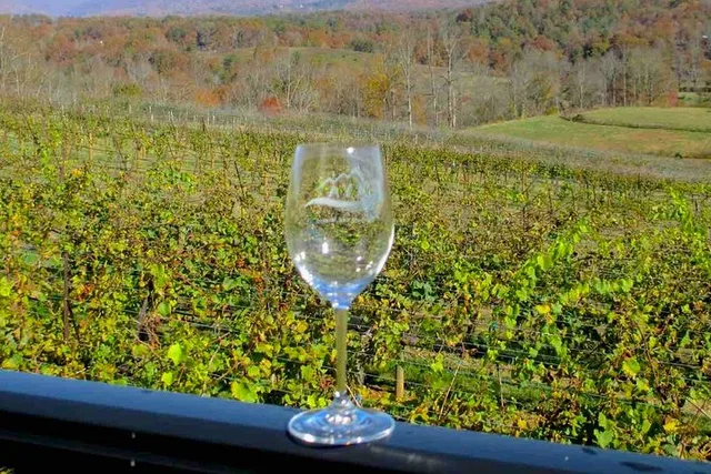 Atlanta Wine Country Tour - Image 6