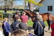Lexington Triple Crown Experience thumbnail 6