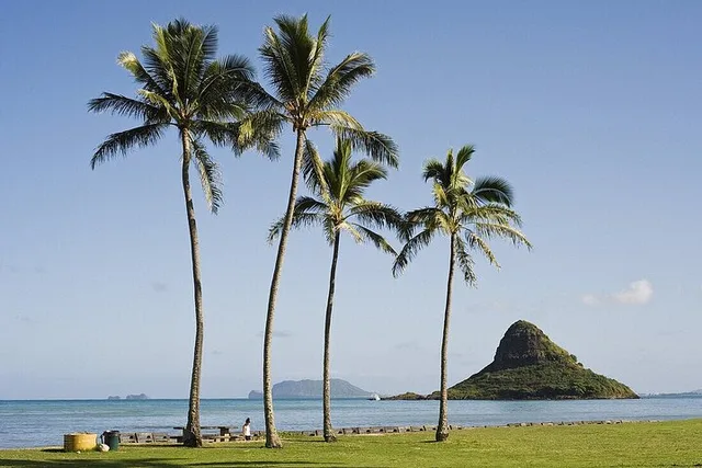 Oahu Circle Island Tour - Image 4