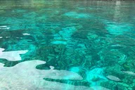 Kealakekua Bay Outrigger Canoe Tour thumbnail 6