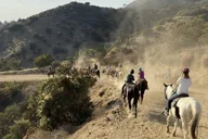 Los Angeles Mulholland Trail Horseback Riding Tour thumbnail 1