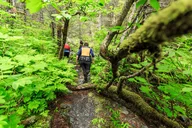 Seward Kayak Tour at Tonsina Point thumbnail 5