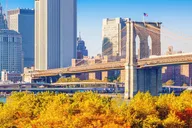 New York City Fall Foliage Cruise thumbnail 2
