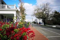 Martha's Vineyard Island Tour from Oak Bluffs 3 hr thumbnail 1