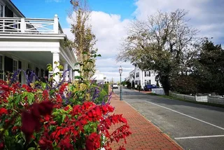 Martha's Vineyard Island Tour from Oak Bluffs 3 hr